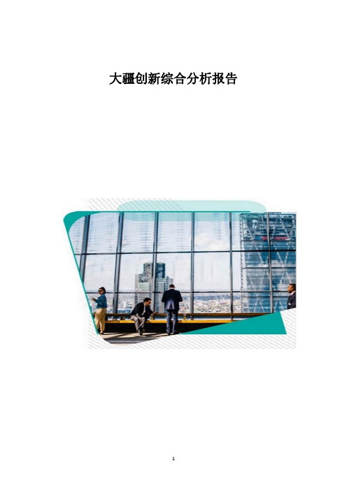 大疆创新综合分析报告_1
