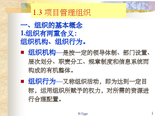 项目管理组织