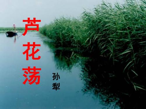 人教版八年级上册语文第一单元第二课《芦花荡》课件(6张)