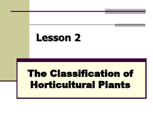 《专业英语》 The Classification of Horticultural Plants