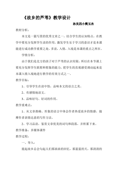 故乡的芦苇教学设计