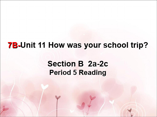 人教版七年级下-unit11-Section-B-2a-2c-(共20张PPT)