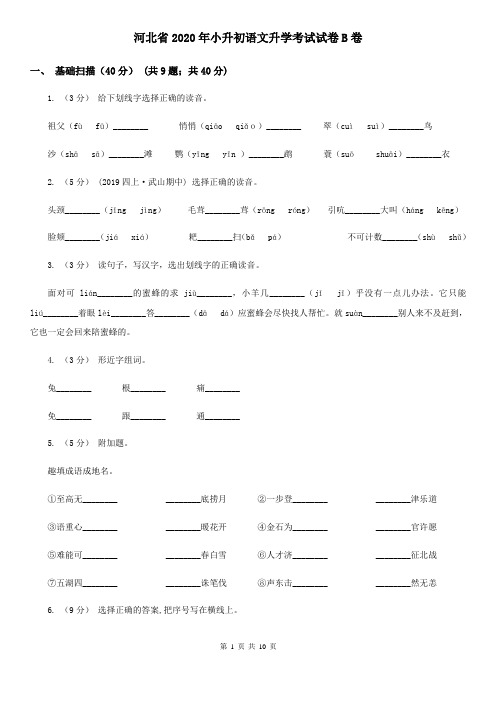 河北省2020年小升初语文升学考试试卷B卷(新版)