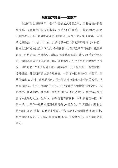 观赏葫芦珍品——宝葫芦