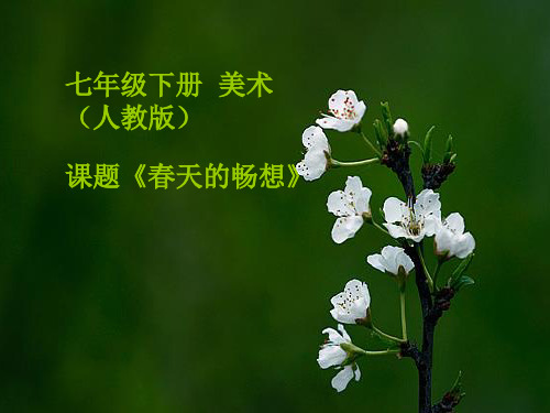 最新人教版美术七年级下册《春天的畅想》课件