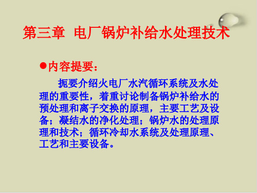 【推荐】电厂锅炉补给水处理技术培训课件