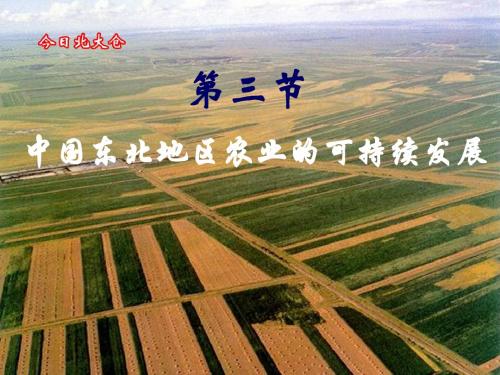 第三节   中国东北地区农业的可持续发展
