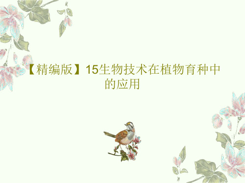 【精编版】15生物技术在植物育种中的应用31页PPT