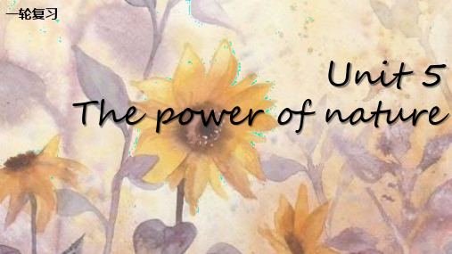 高三英语一轮复习优质课件5：Unit 5 The power of nature