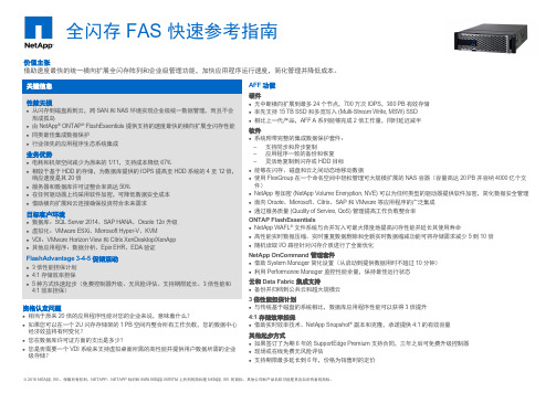 NetApp全闪存存储FAS指南