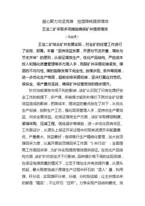 凝心聚力攻坚克难     挖潜降耗提质增效    马金虎