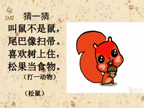 1_《跑进家来的松鼠》公开课PPT