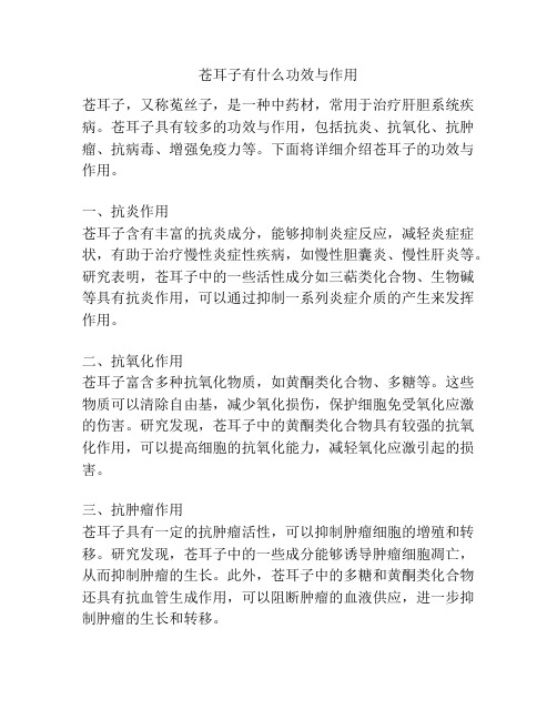 苍耳子有什么功效与作用