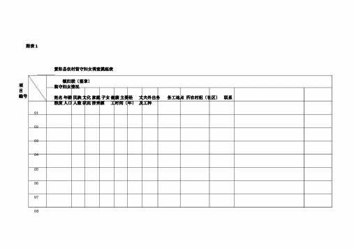 农村留守妇女儿童调查摸底表