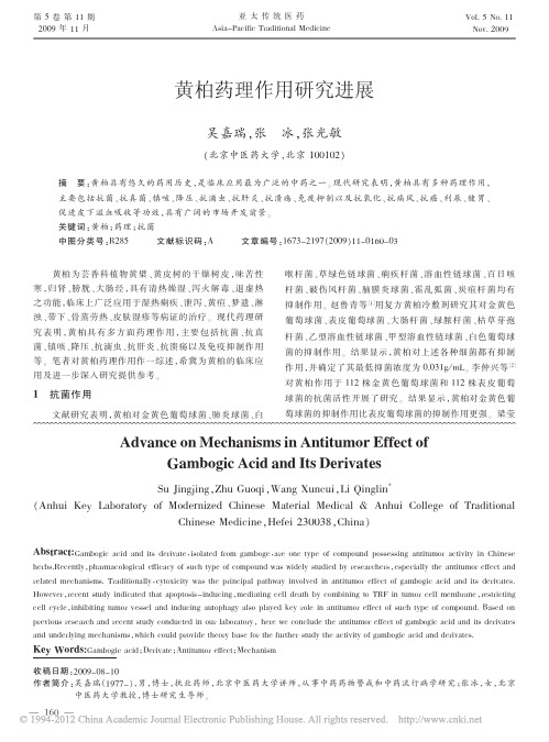 黄柏药理作用研究进展