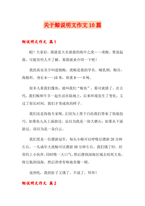 关于鲸说明文作文10篇