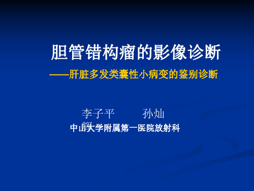 医学影像-胆管错构瘤