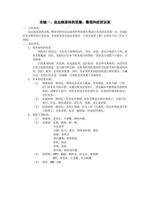 昆虫病原体的采集、整理和症状识别