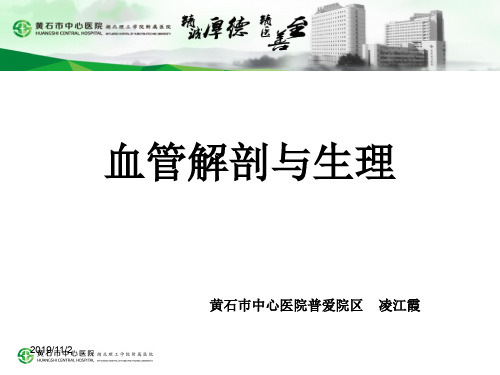 血管解剖与生理PPT课件