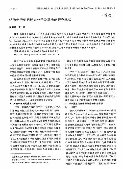 结肠癌干细胞标志分子及其功能研究现状