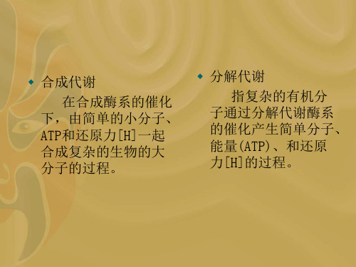 最新整理第四章微生物的代谢与调节.ppt