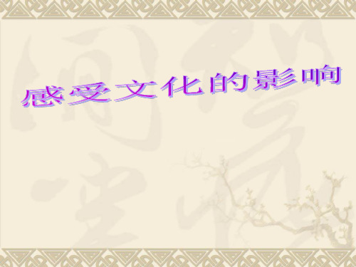 人教版高二政治必修三感受文化的影响
