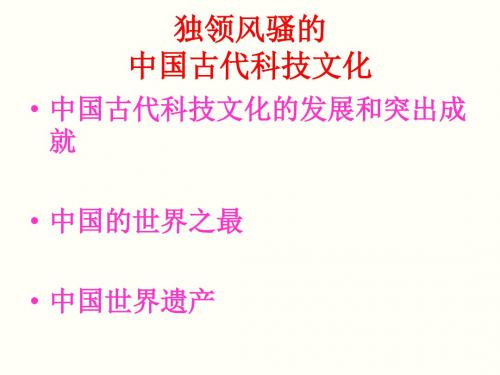 独领风骚的中国古代科技文化PPT课件