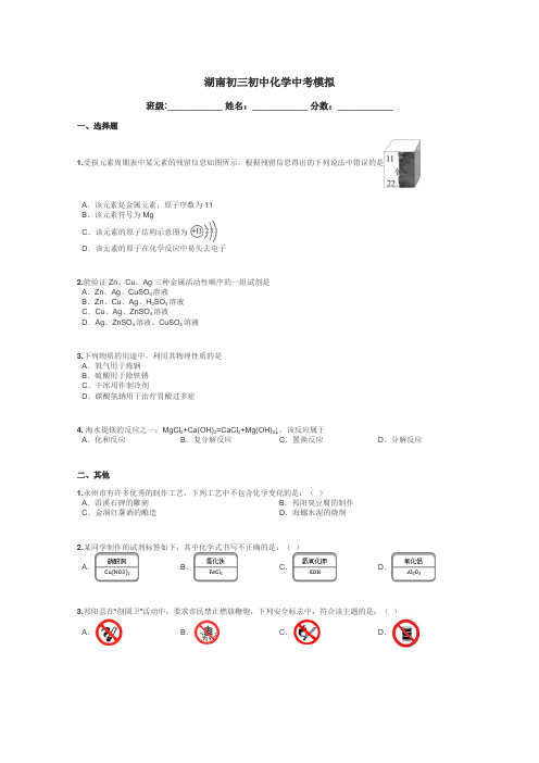 湖南初三初中化学中考模拟带答案解析
