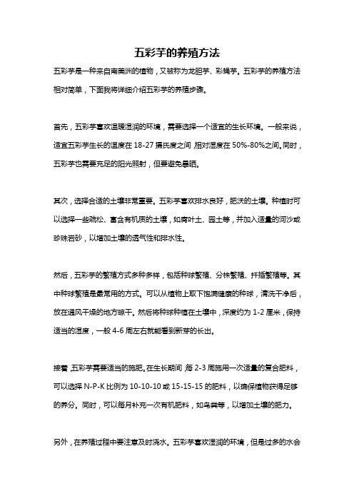 五彩芋的养殖方法