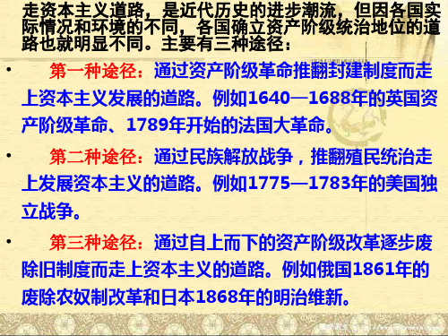 历史专题复习 资本主义制度的确立及巩固.