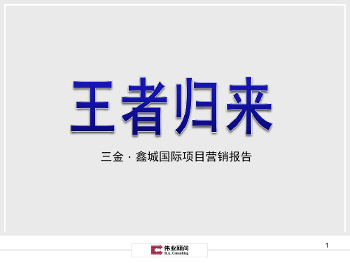 武汉三金鑫城国际项目营销报告