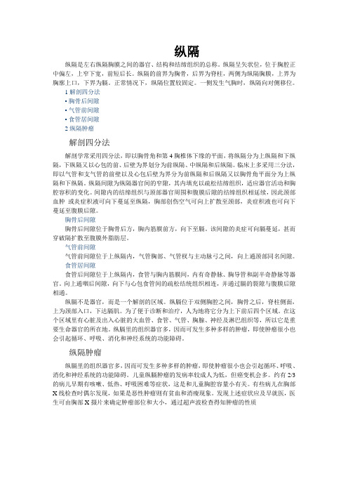 纵隔