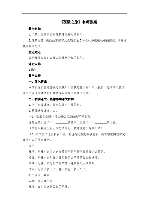 部编版九年级语文上册第四单元第十六课《孤独之旅》精品教案1