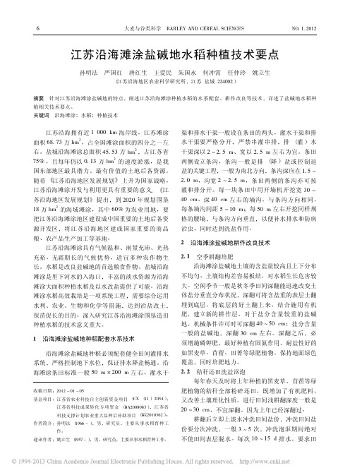 江苏沿海滩涂盐碱地水稻种植技术要点