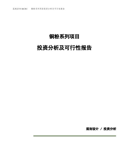 铜粉系列项目投资分析及可行性报告