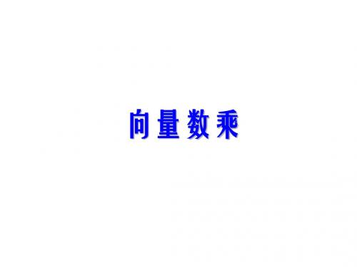 高二数学实数与向量的积4精选教学PPT课件