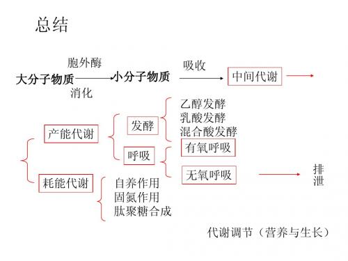 沈萍版7微生物的生长
