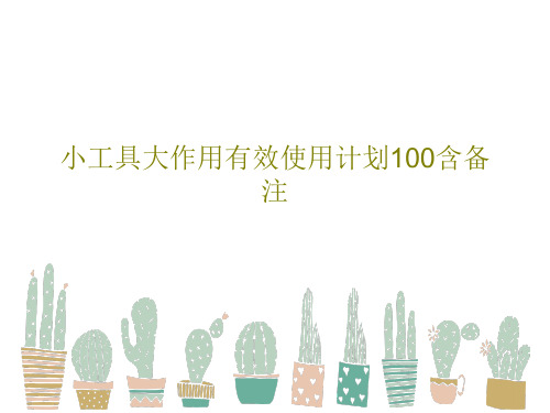 小工具大作用有效使用计划100含备注36页PPT