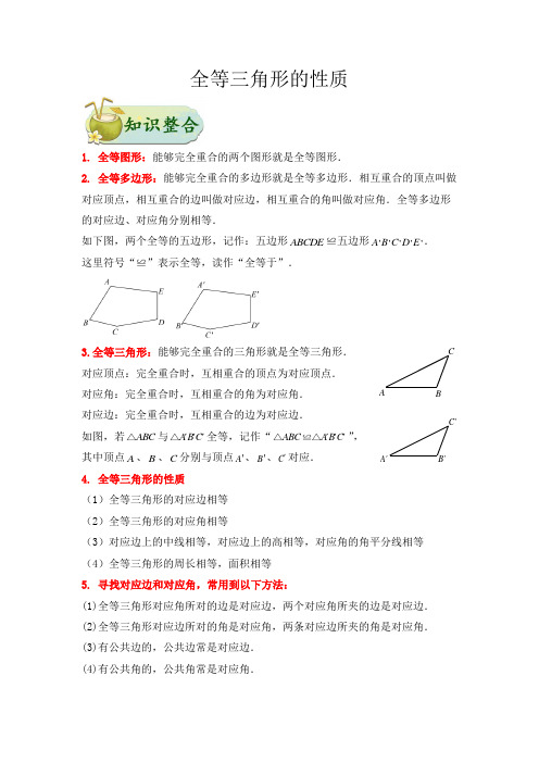 第1讲  全等三角形的性质