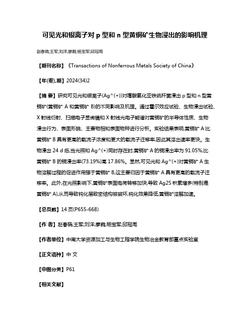 可见光和银离子对p型和n型黄铜矿生物浸出的影响机理