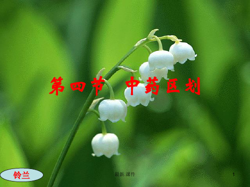 第四节 中药区划(上)复习.ppt