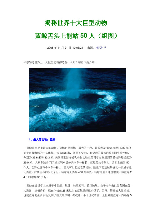 世界十大巨型动物