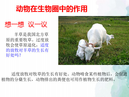 北师大版生物-八年级上册-第17章 动物在生物圈中的作用课件