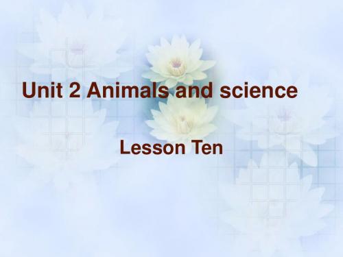 六年级上册英语课件-Unit 2 Animals and science  Lesson 10 课件｜清华版(一起) (共24张PPT)
