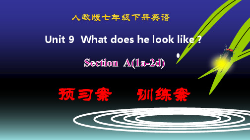 人教版七年级英语下册 Unit9 Section A(1a-2d)预习-训练案