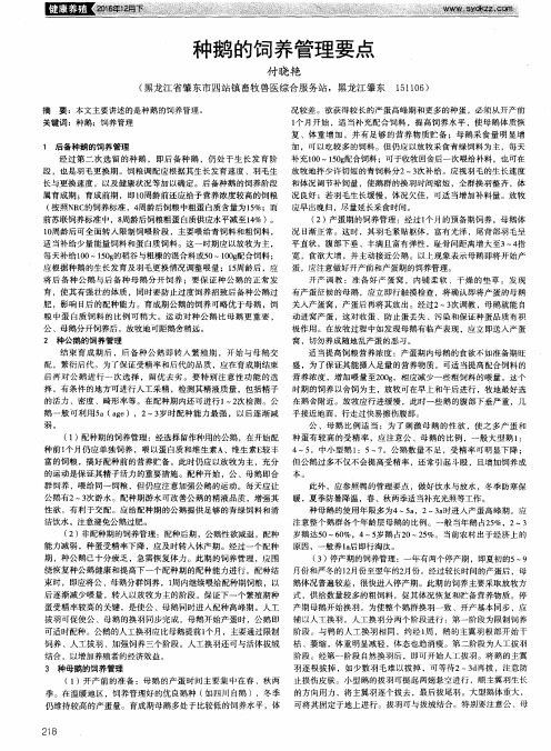 种鹅的饲养管理要点