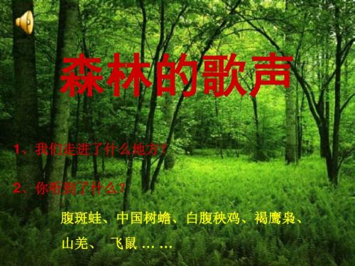 人音版音乐四下《森林的歌声》课件2