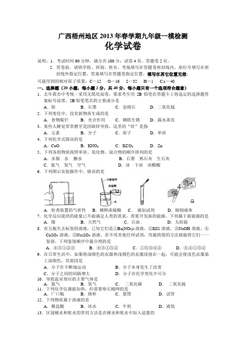 广西梧州地区2013届九年级一模检测化学试题 