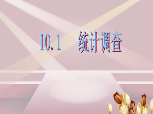 10.1统计调查(一)