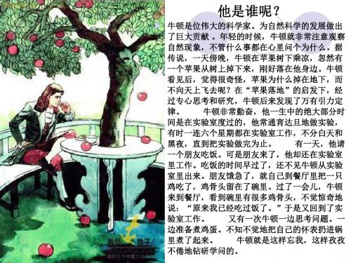 商的变化规律